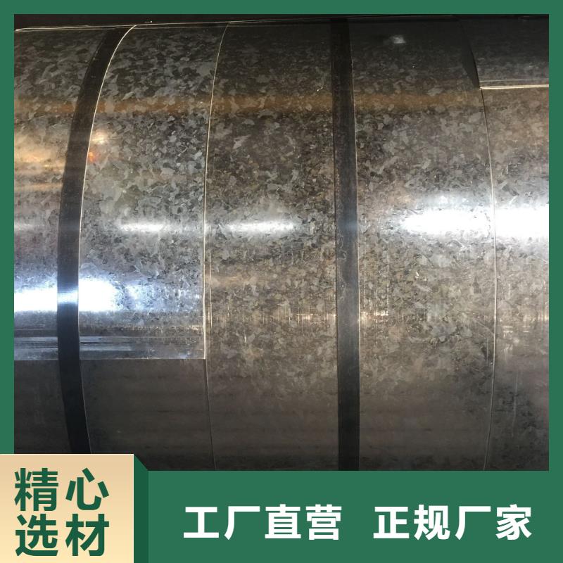 |波密|朗县|拉萨|山南|阿里|那曲|日喀则振帝钢【热镀锌卷板】源头厂商