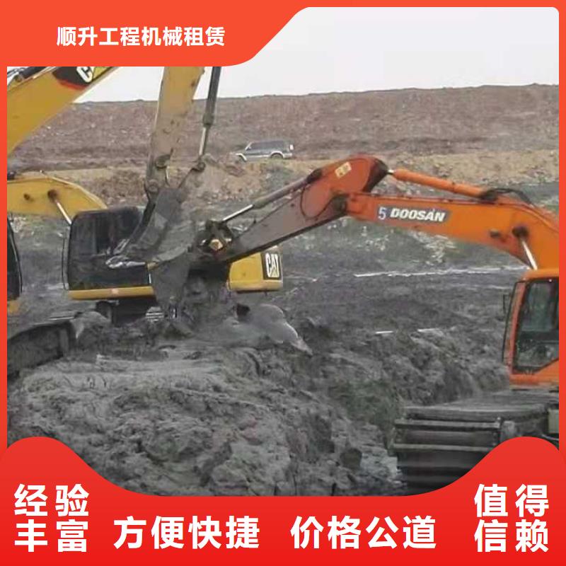
水陆两用挖机租赁查看