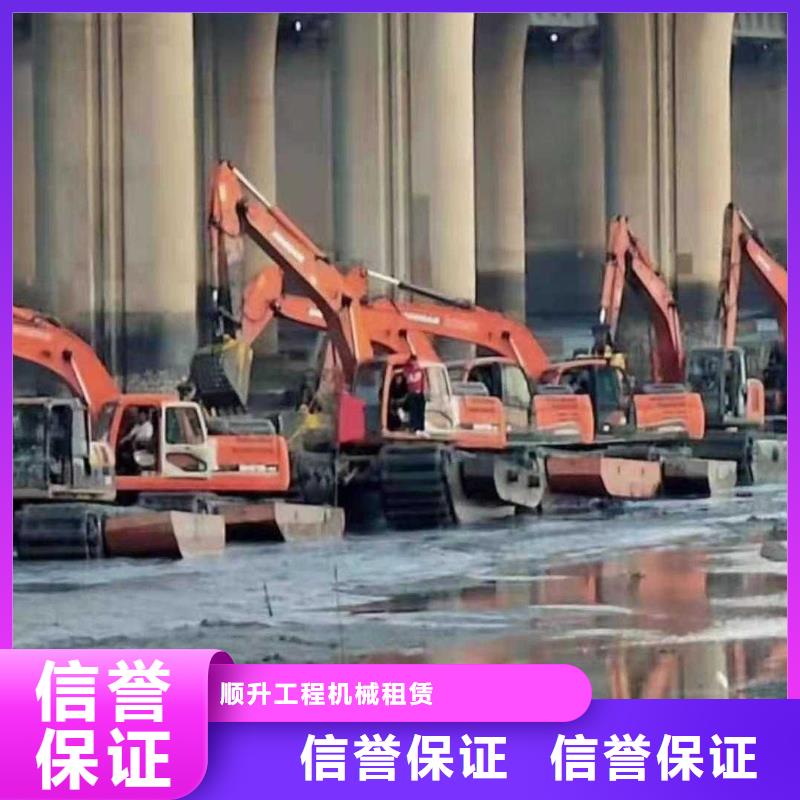 
湿地沼泽地挖掘机租赁改装