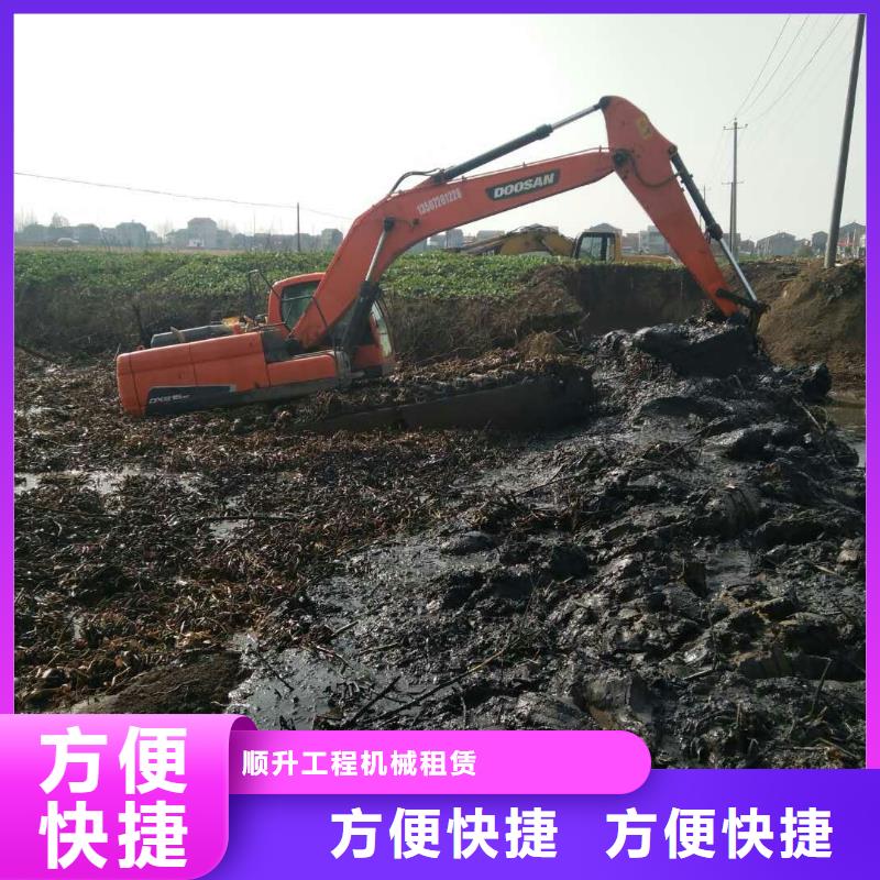水上挖掘机租赁,租赁水陆挖机多家服务案例
