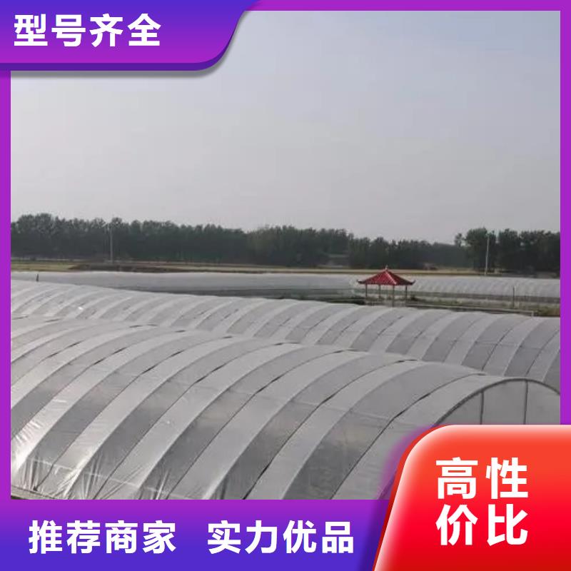 县大棚防风卡槽供应商