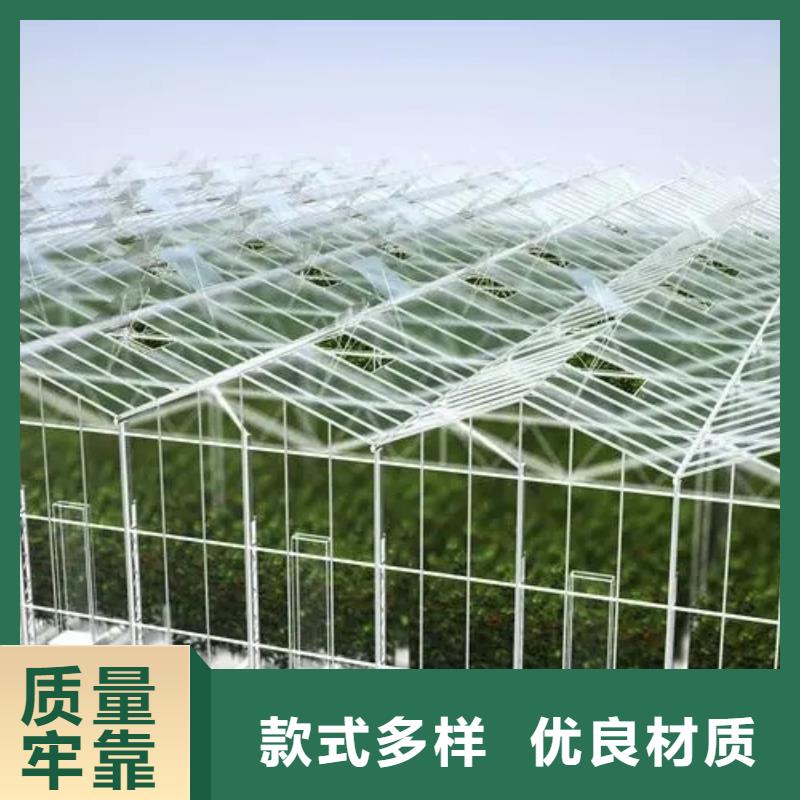 县连栋大棚多少钱一平方生产基地
