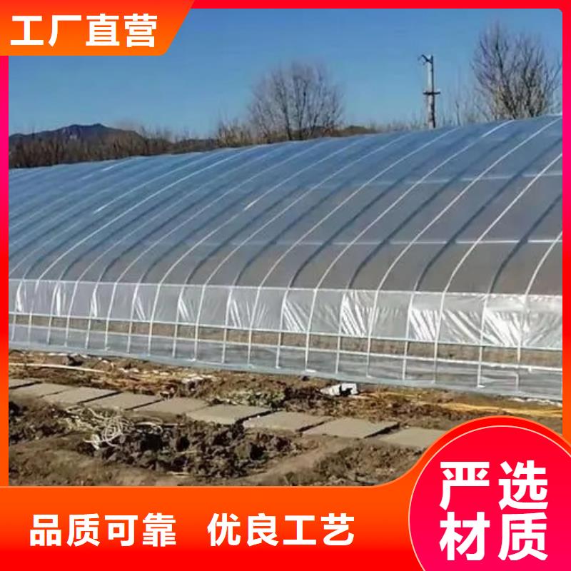 桃城区养殖大棚椭圆管实体大厂