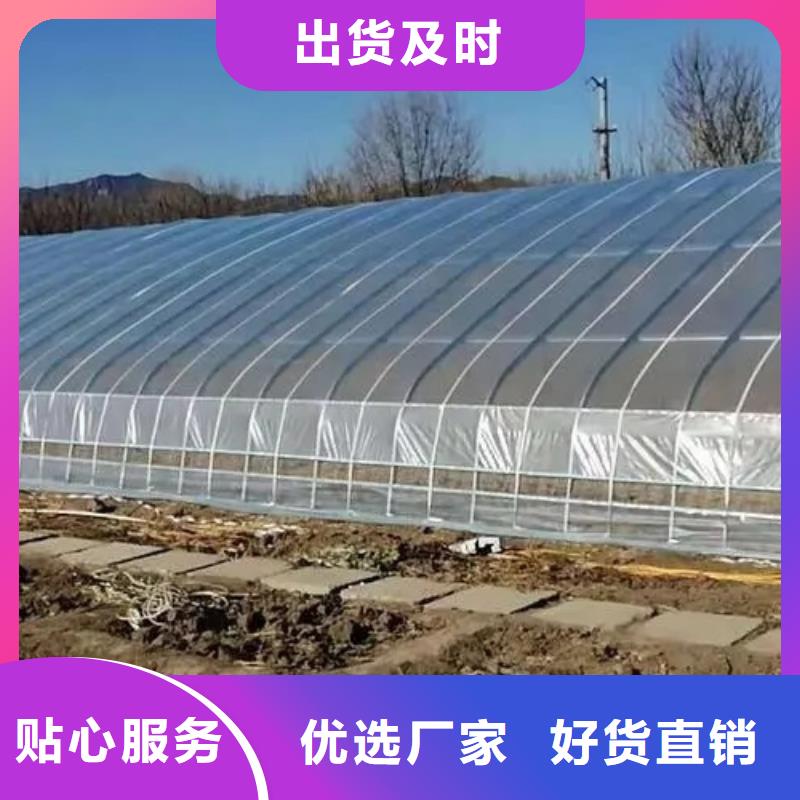 故城县葡萄大棚专用膜源头厂家2025乡村振兴计划