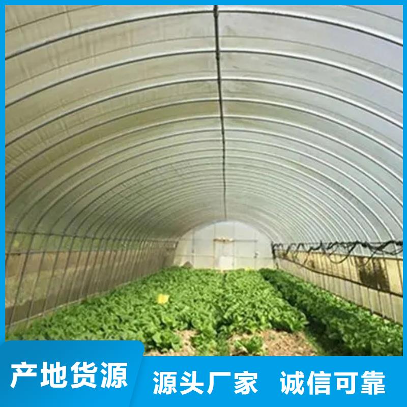 秦安县菌菇木耳大棚黑白膜供应商