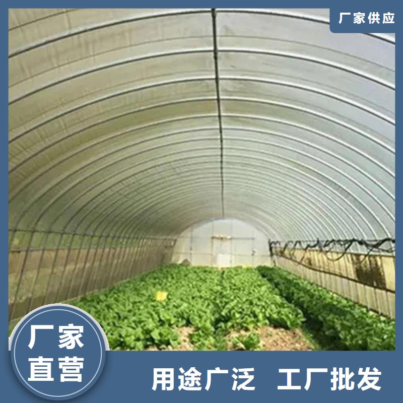 县大棚防风卡槽供应商