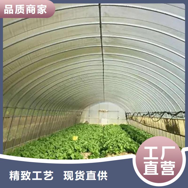 县通风气楼图集价格公道