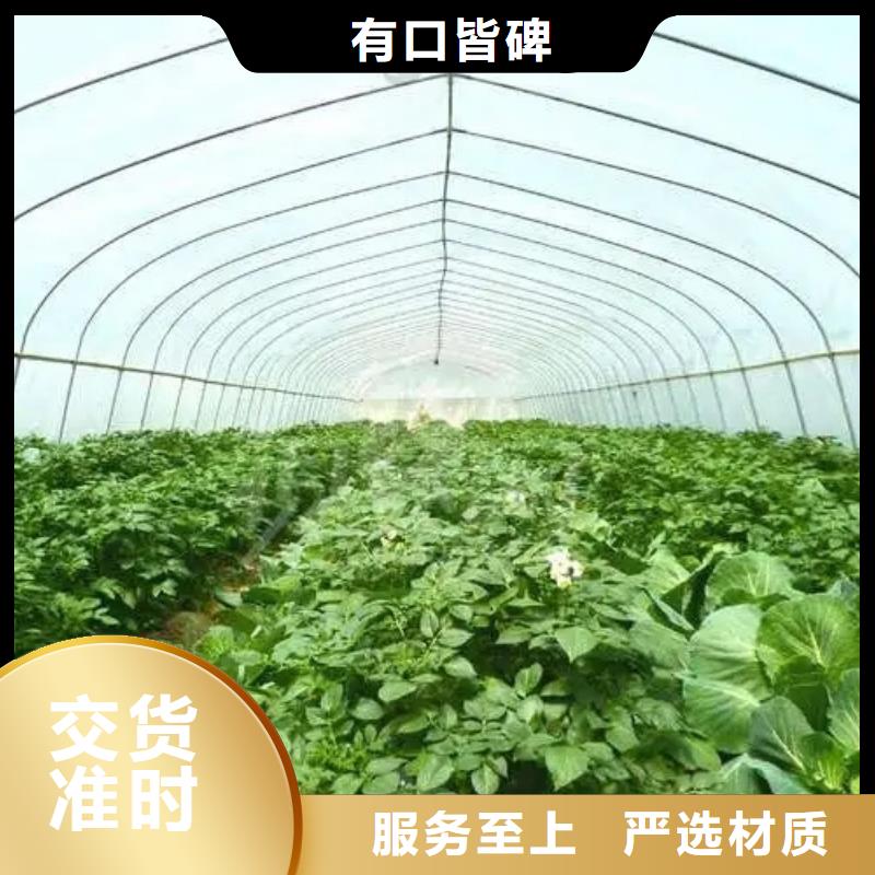 县大棚钢管厂家生产基地