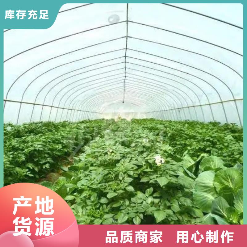 县葡萄大棚钢管工厂直销