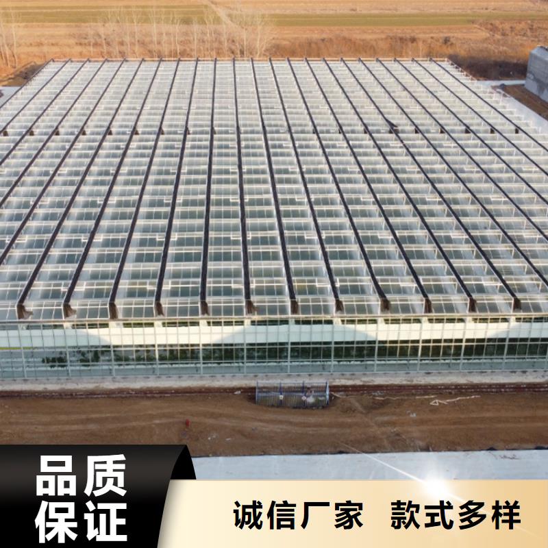 塑料温室连栋大棚造价【修饰词