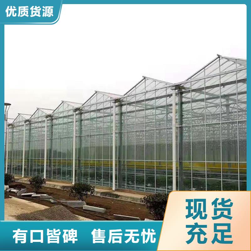 饶阳县葡萄连体大棚图片
