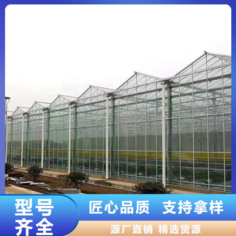 桃城区养殖大棚椭圆管实体大厂