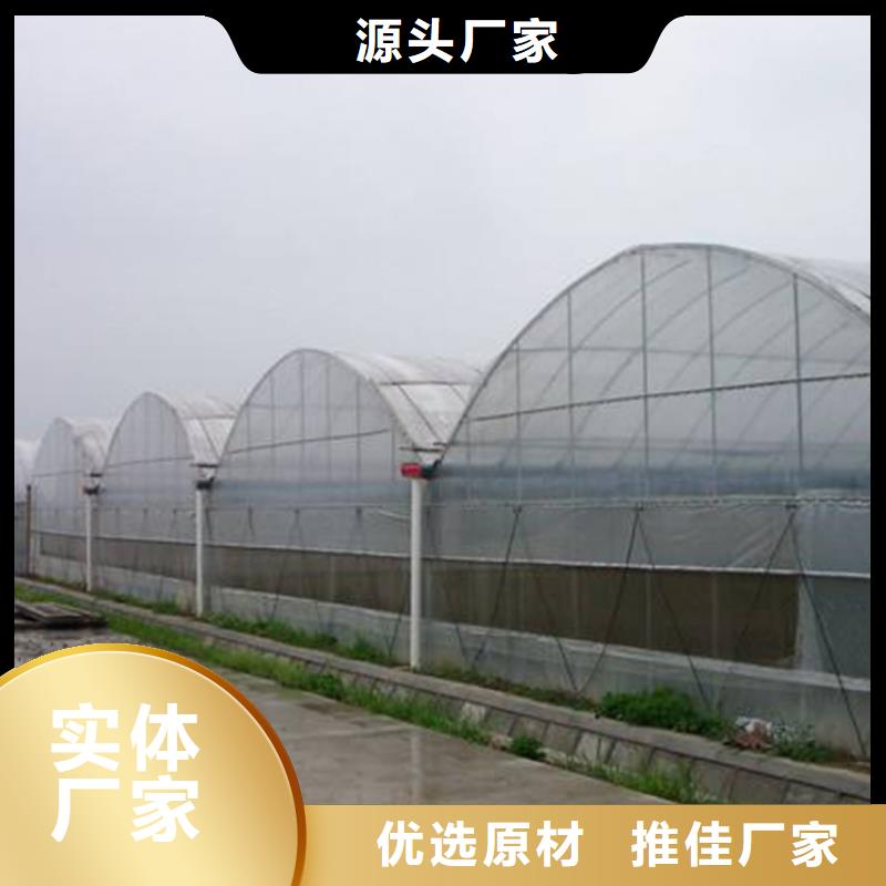 县玻璃温室大棚造价质量优