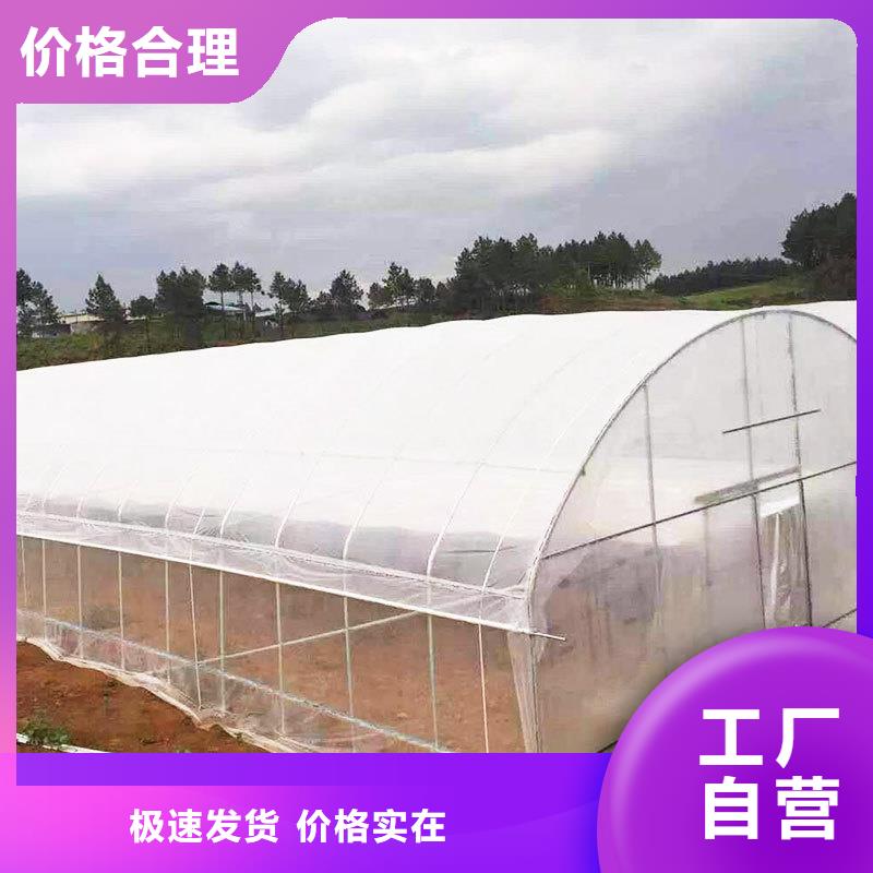 桃城区养殖大棚椭圆管实体大厂