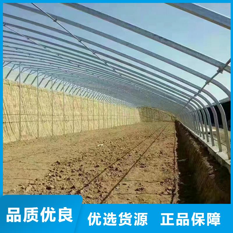 养殖大棚黑白膜10年经验