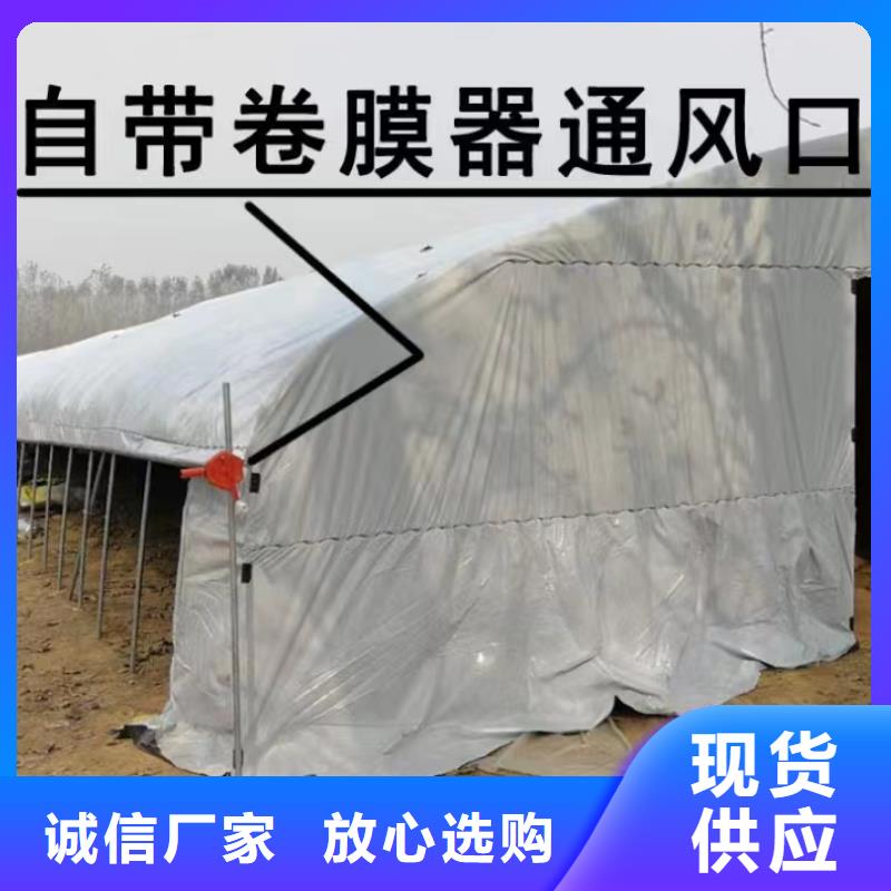 秦安县菌菇木耳大棚黑白膜供应商
