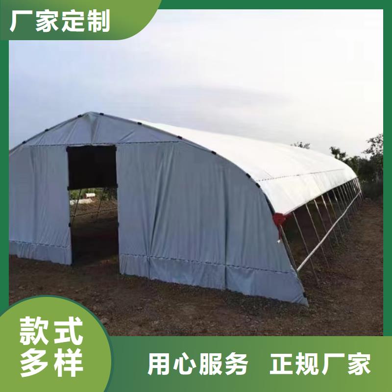 养殖大棚黑白膜10年经验