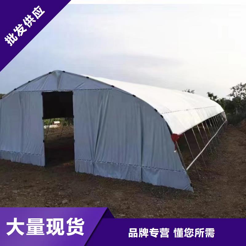 温室大棚维保视频-温室大棚维保_江西省九江市市场覆盖都昌|浔阳|吉安|上饶|赣州|抚州等