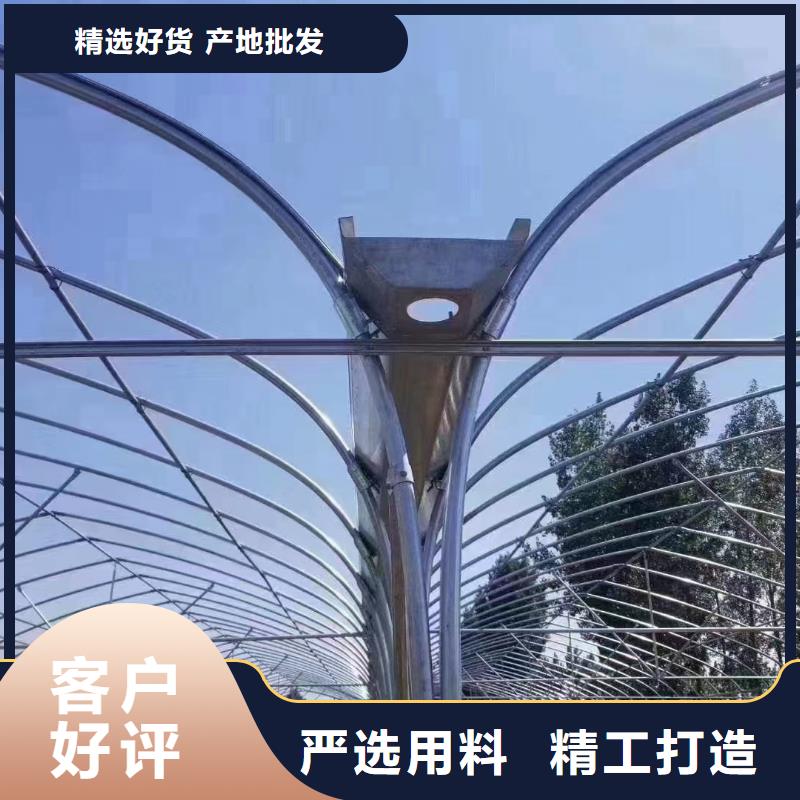 福海街道大棚铝合金卡槽尺寸理论重量10年经验金荣圣温室