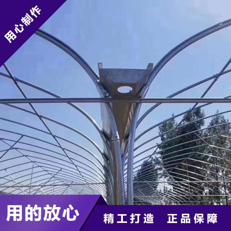 养殖大棚黑白膜10年经验