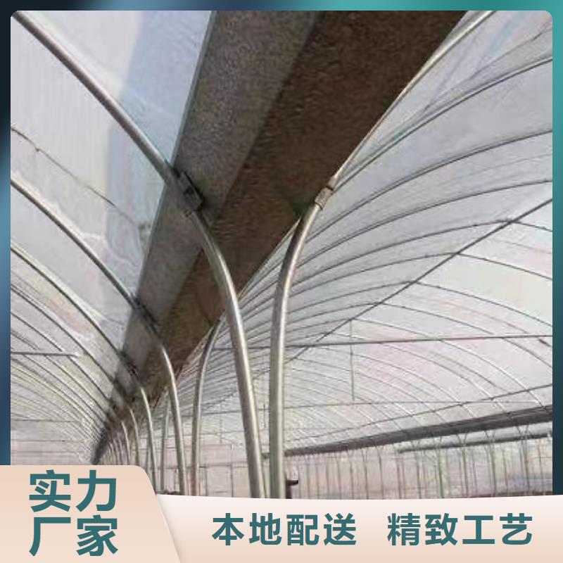 饶阳县葡萄连体大棚图片