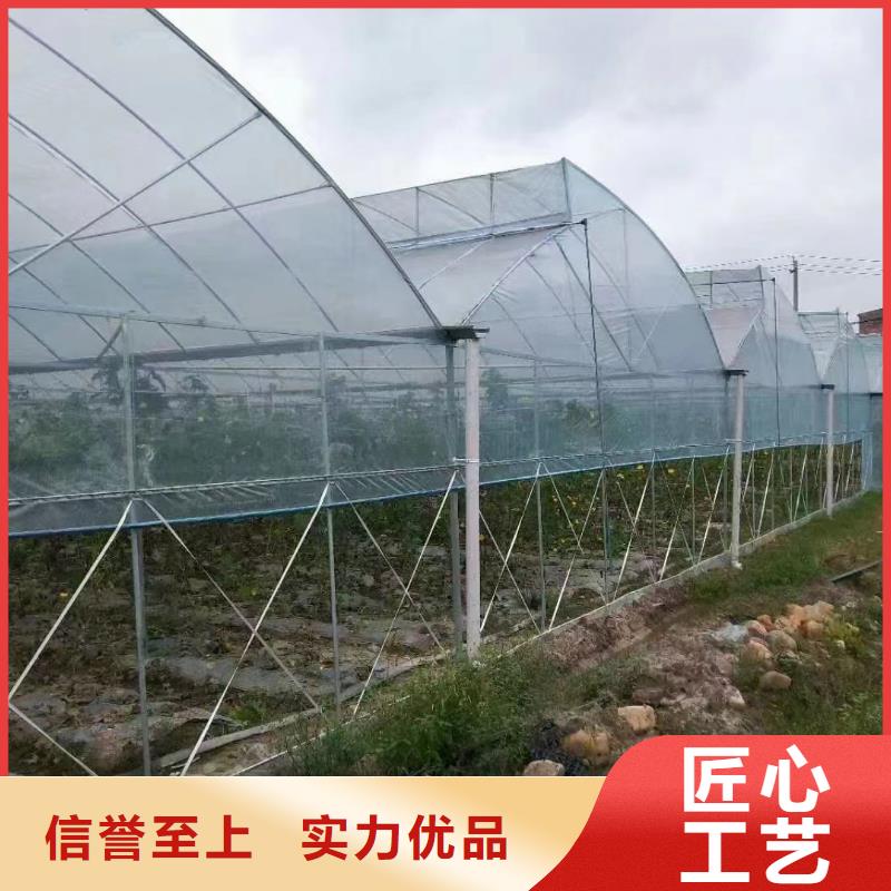 温室大棚维保视频-温室大棚维保_江西省九江市市场覆盖都昌|浔阳|吉安|上饶|赣州|抚州等
