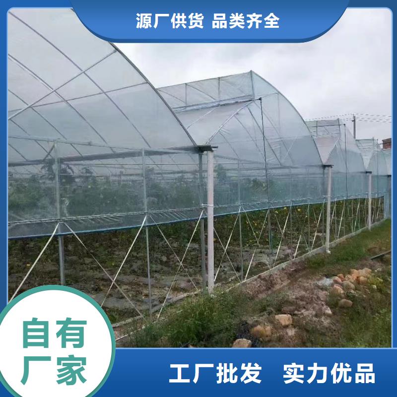 县温室大棚多少钱一平方诚信厂家