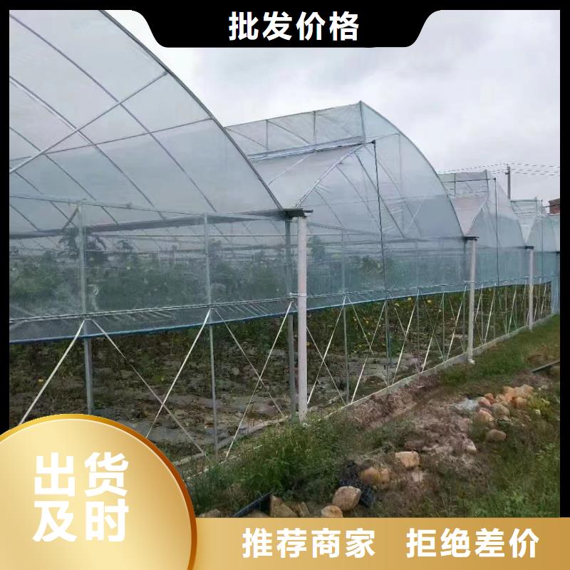 县大棚防风卡槽供应商