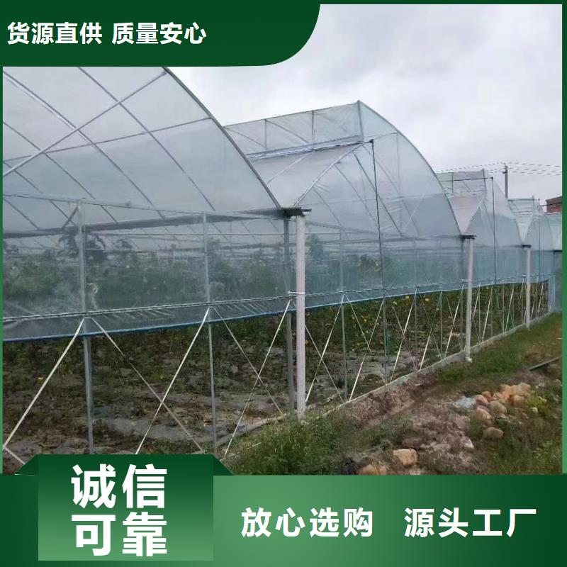 宁津县GP825蔬菜大棚管现货报价
