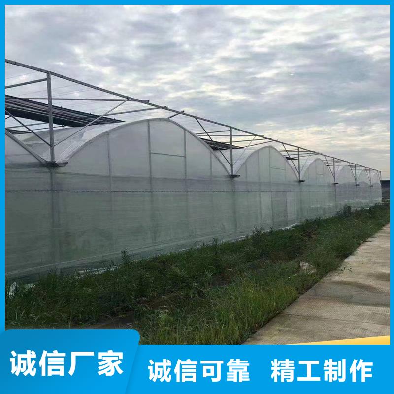 秦安县菌菇木耳大棚黑白膜供应商