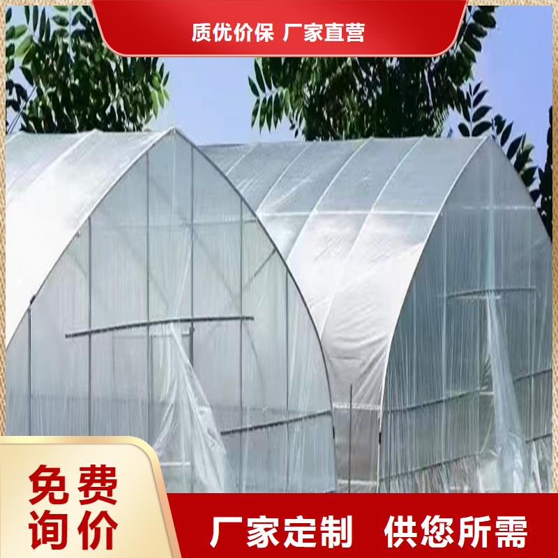 县连栋大棚多少钱一平方生产基地