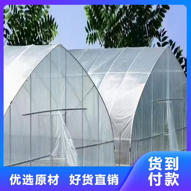 PEP进口利得膜质量可靠
