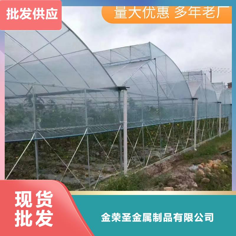 深州市GP832镀锌大棚钢管现货价格