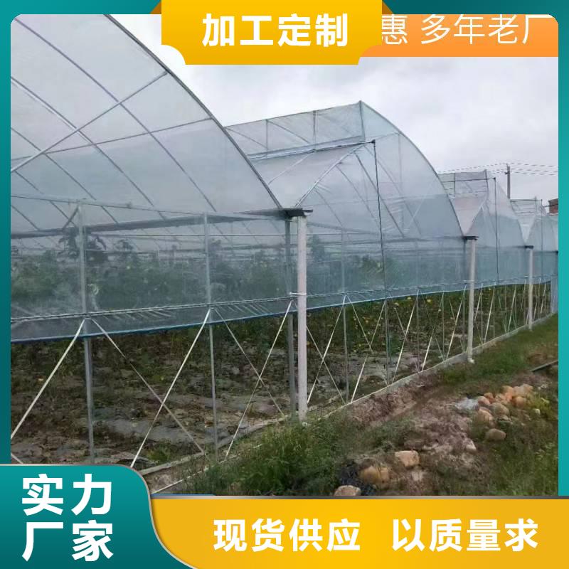 平南县GP825蔬菜大棚管工厂直销