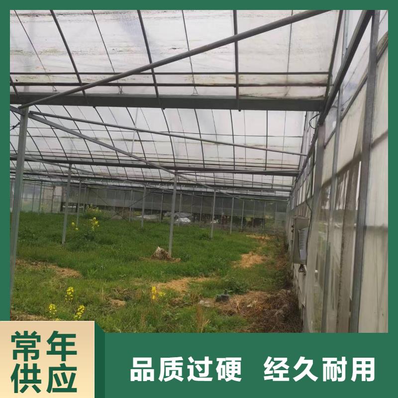 县葡萄避雨大棚实力老厂