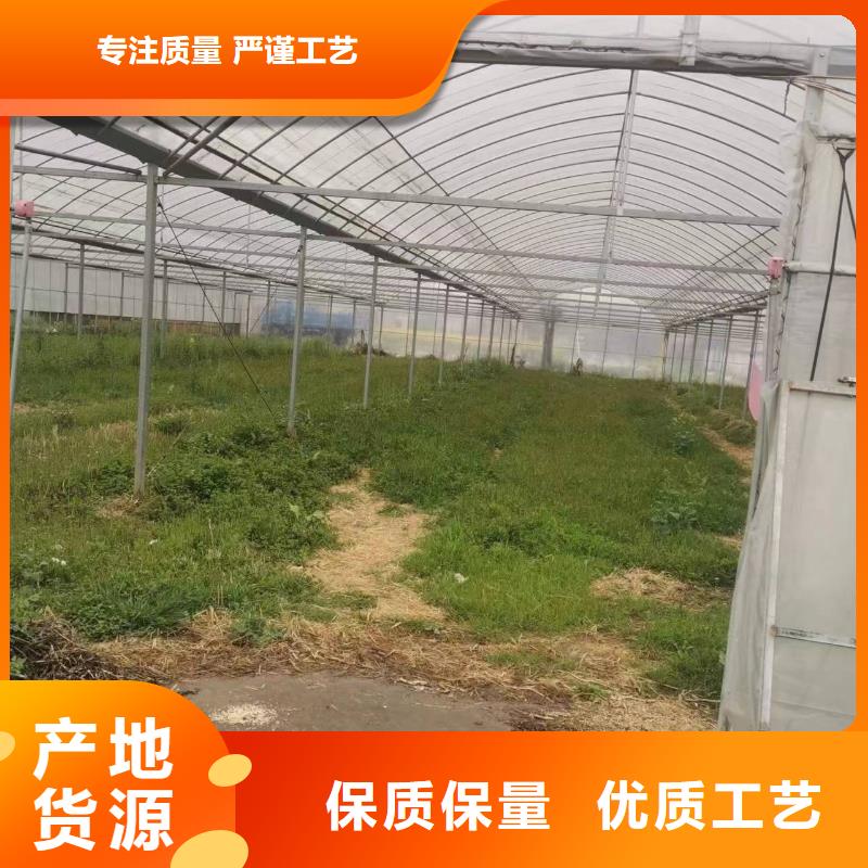 养殖大棚黑白膜10年经验