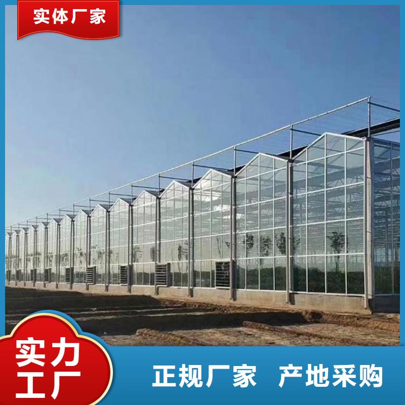 景县进口利得绿白膜实力厂家