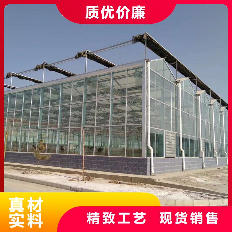 县连栋大棚多少钱一平方生产基地