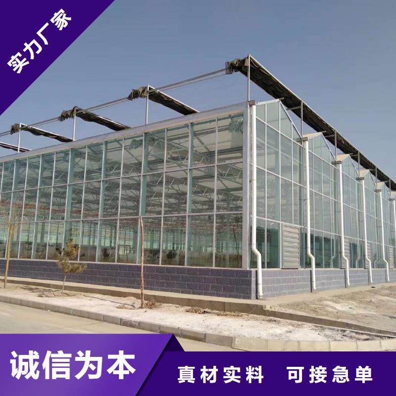 县杨梅大棚管实力老厂