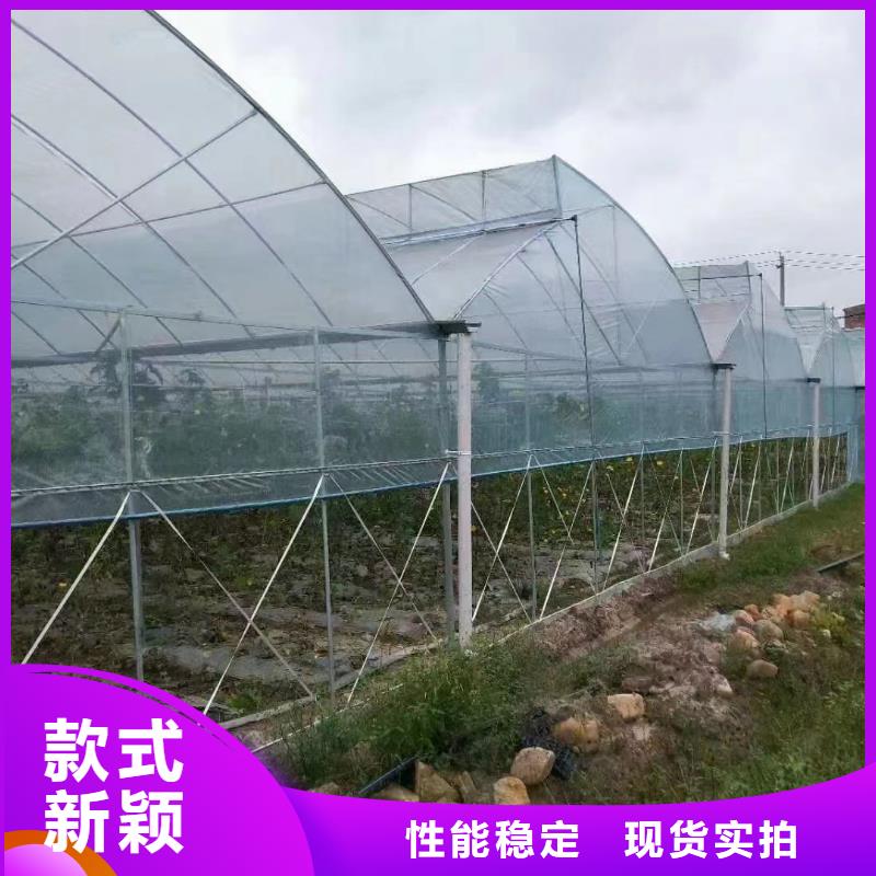 通风天窗货源