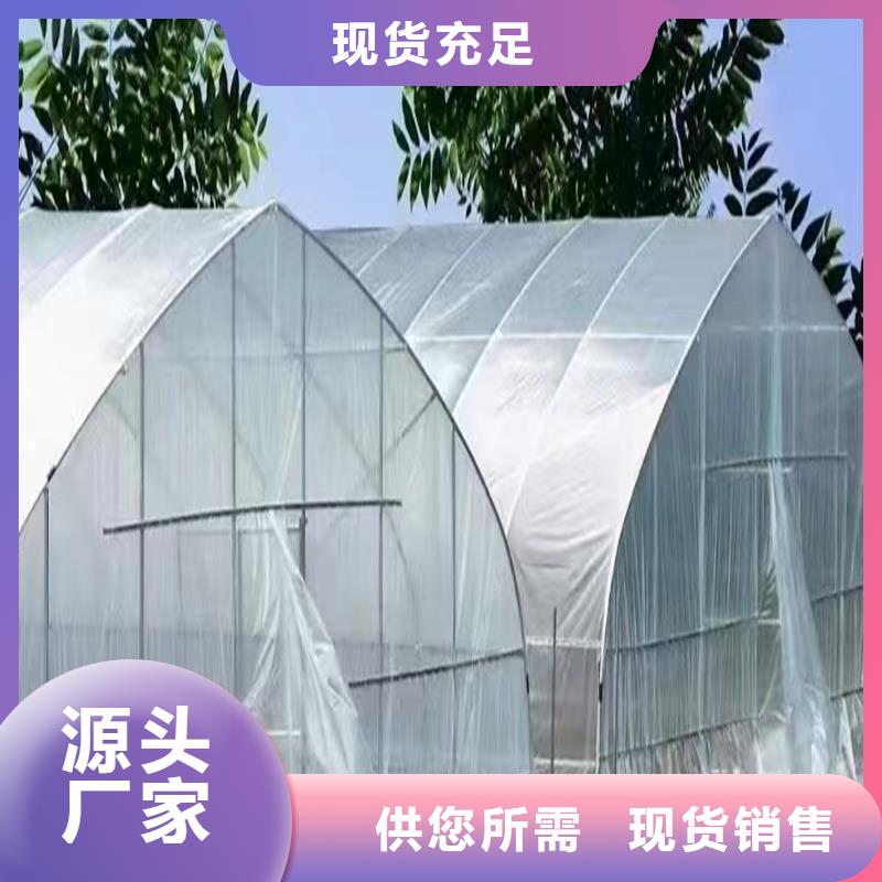 平南县GP825蔬菜大棚管工厂直销