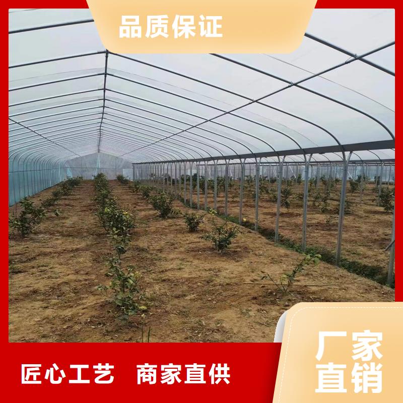 塑料温室连栋大棚造价【修饰词