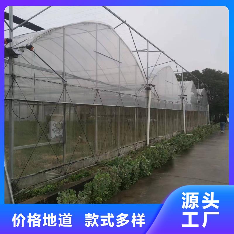 县葡萄避雨大棚实力老厂