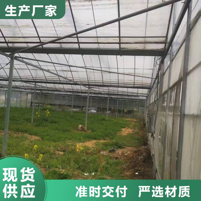 故城县葡萄大棚专用膜源头厂家2025乡村振兴计划