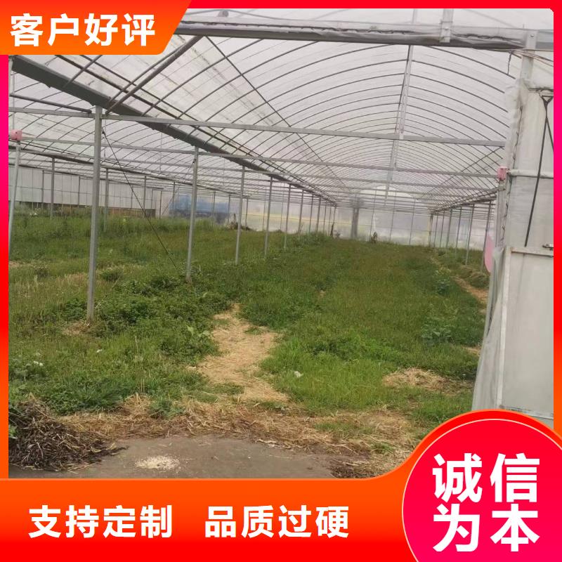 通风气楼设置型号全