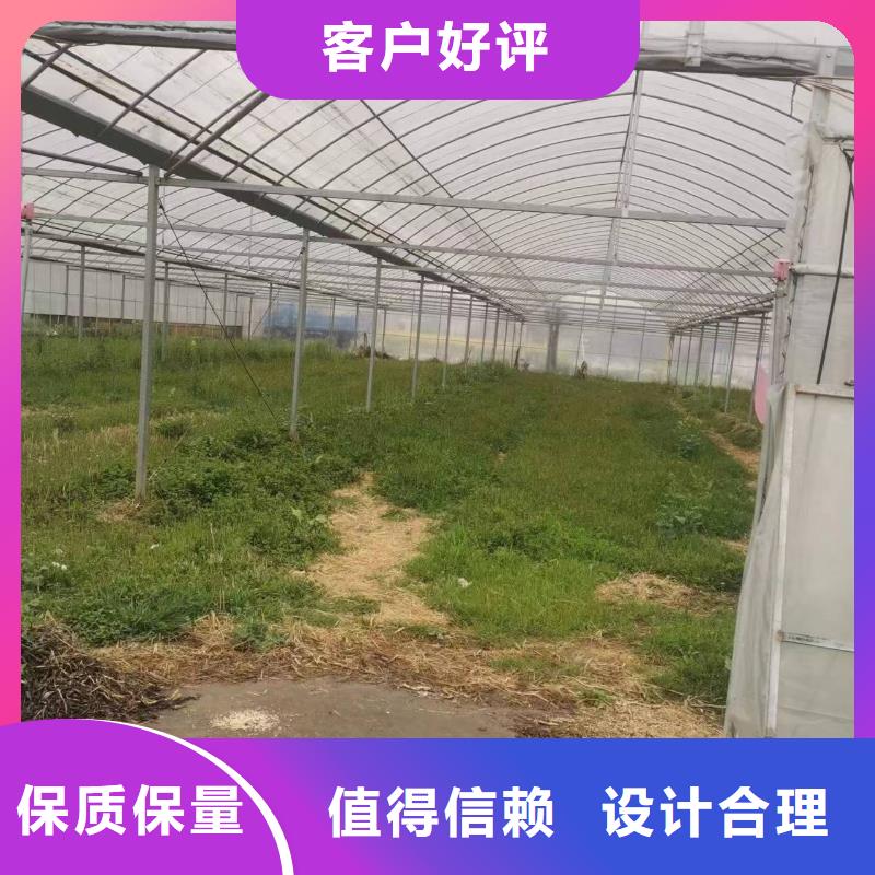 通风气楼多少费用价格公道
