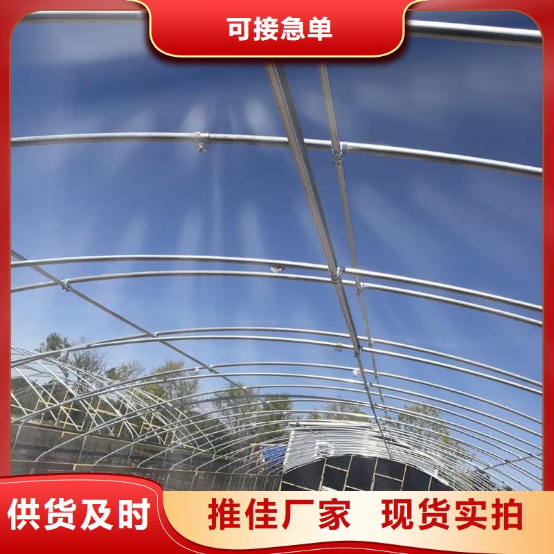 阜城县养殖大棚椭圆管生产基地