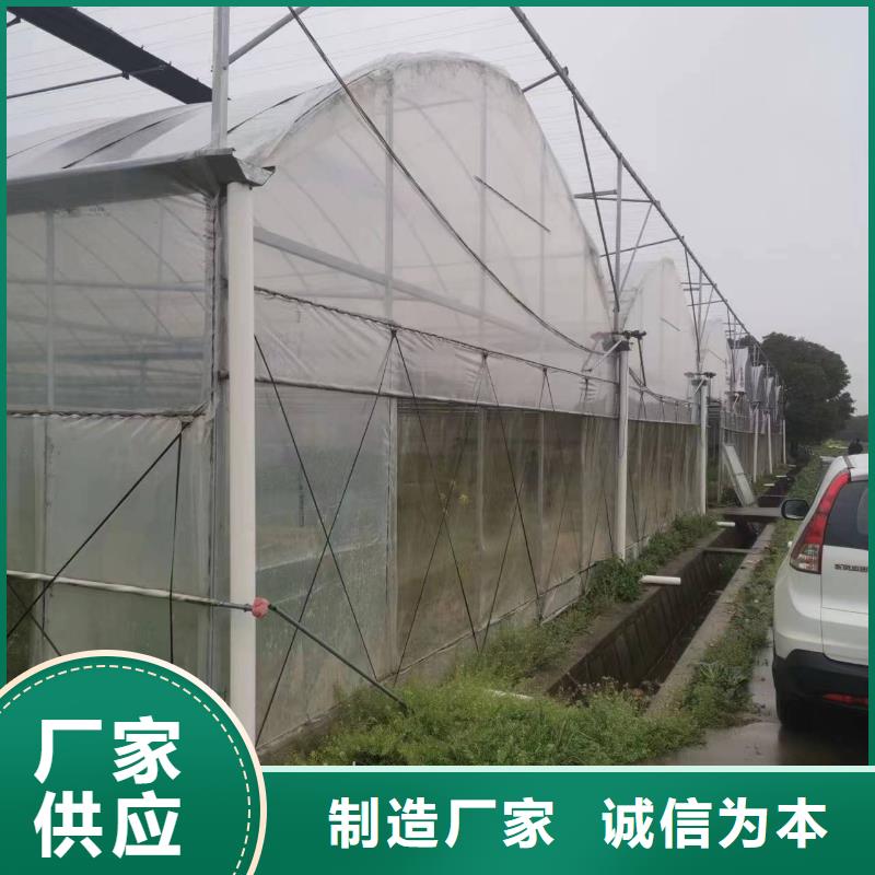 县葡萄避雨大棚实力老厂