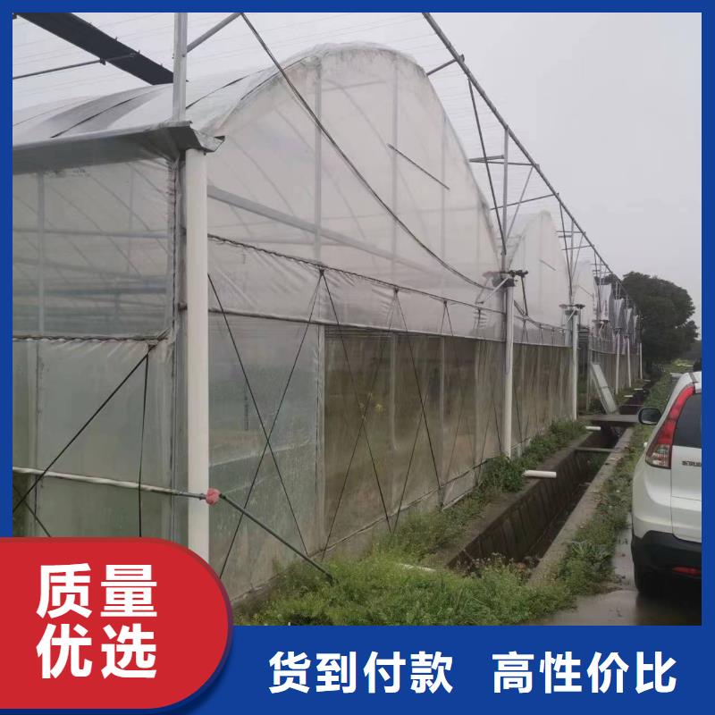 桃城区养殖大棚椭圆管实体大厂