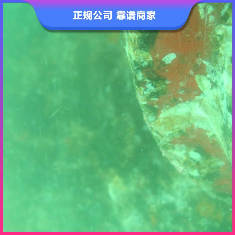 码头检测欢迎电询